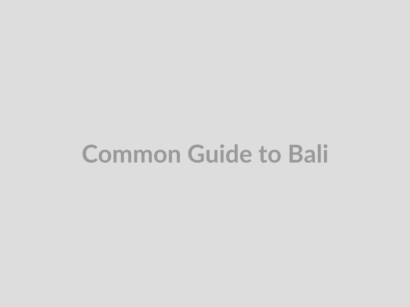 Common Guide to Bali