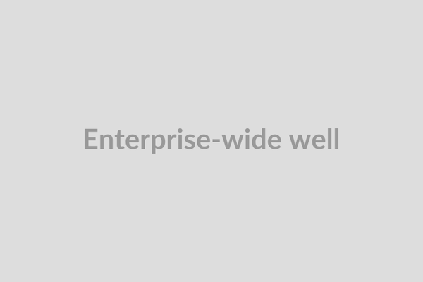 Enterprise-wide well-modulated interface