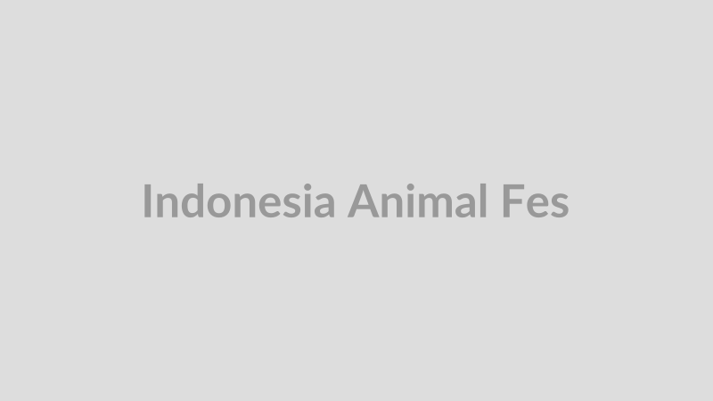 Indonesia Animal Festival