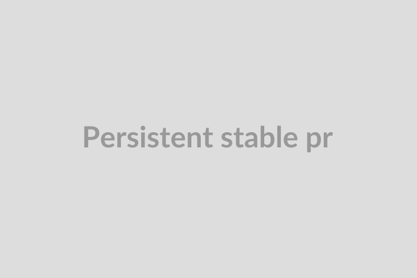 Persistent stable protocol